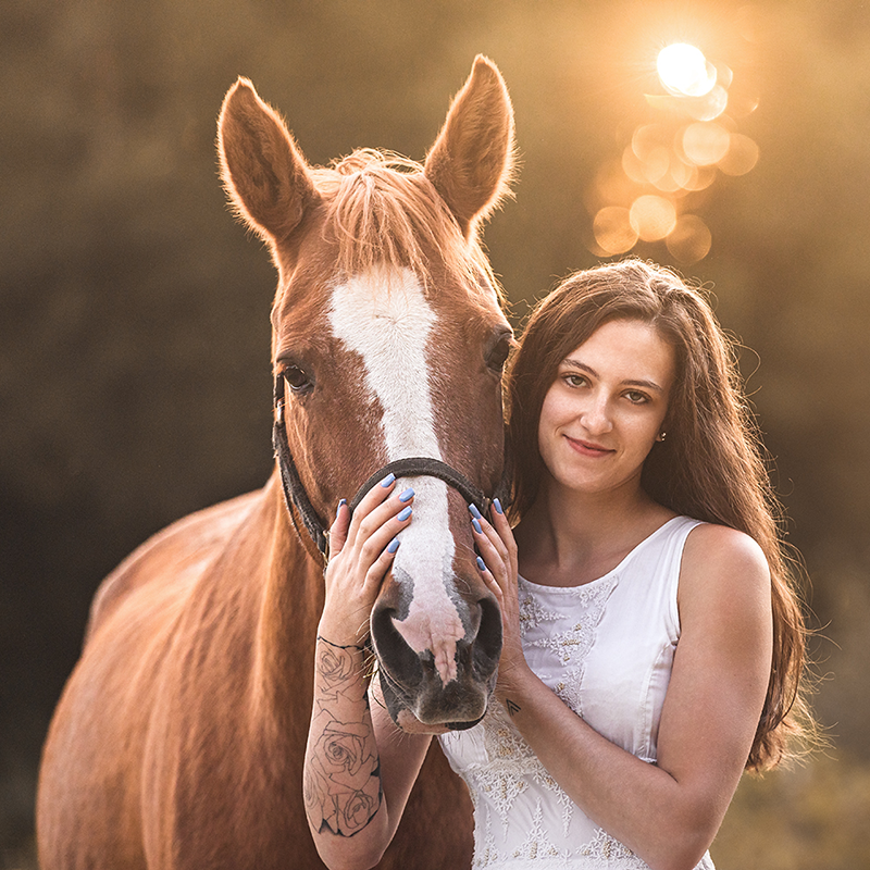 Elegante Frau im Abendkleid neben einem Pferd beim Sonnenuntergang, fotografiert von Bildwerk Donauwörth.