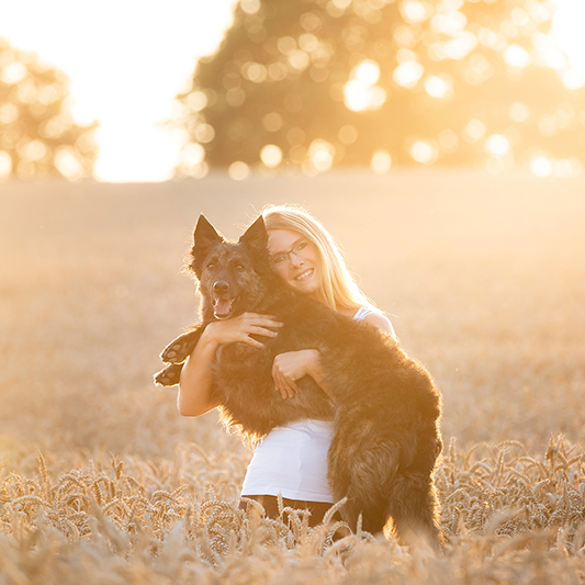 Hund und Mensch in liebevoller Interaktion vor einem malerischen Sonnenuntergang, aufgenommen von Bildwerk Donauwörth.